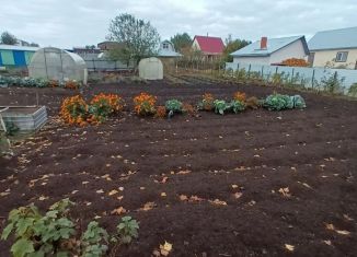 Продается земельный участок, 6 сот., СПК Дубник