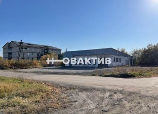 Продается торговая площадь, 377 м2, Алтайский край, Первомайская улица, 92