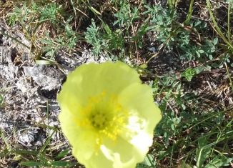 Продаю участок, 15 сот., село Ачаир, Зелёная улица, 49