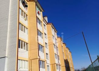 Двухкомнатная квартира на продажу, 58.4 м2, Клинцы, улица Ворошилова, 41В