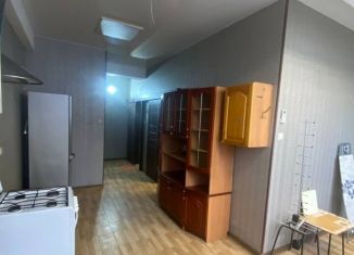 Продажа 1-ком. квартиры, 36 м2, село Орёл-Изумруд, Петрозаводская улица, 24/1А