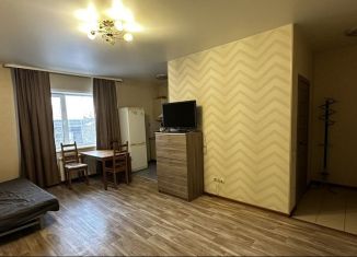 Сдаю квартиру студию, 30 м2, Новосибирск, улица Серафимовича, 27