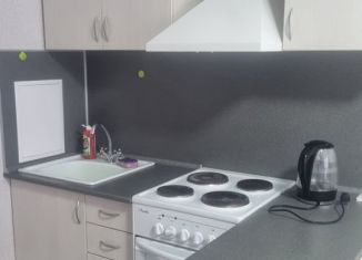 Сдам в аренду квартиру студию, 28 м2, Ростов-на-Дону, улица Тимофеева, 9, ЖК Платовский