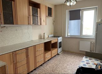 Сдаю однокомнатную квартиру, 31 м2, Новгородская область, Большая Московская улица, 128к1