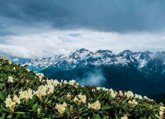 Продаю однокомнатную квартиру, 27 м2, Сочи, улица Искры, 88к1, ЖК Летний