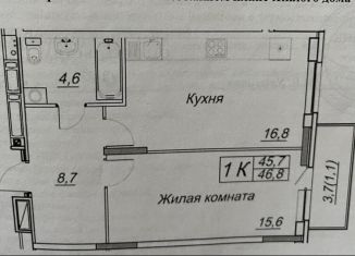 Продается 1-комнатная квартира, 46.8 м2, Пермский край