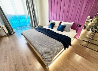 Аренда 1-ком. квартиры, 52 м2, Екатеринбург, улица Циолковского, 27, ЖК Премьер