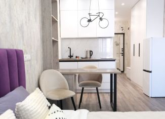 Аренда квартиры студии, 35 м2, Ростов-на-Дону, Береговая улица, 73с2