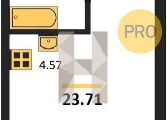 Квартира на продажу студия, 23.7 м2, Свердловская область, улица Печатников, 3