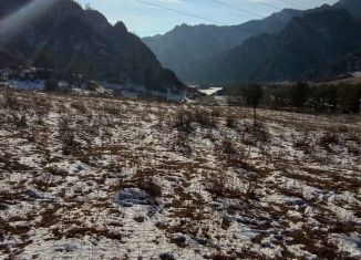 Участок на продажу, 12 сот., Чемальское сельское поселение, 84К-116