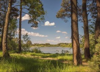 Продажа земельного участка, 8 сот., село Новый Быт