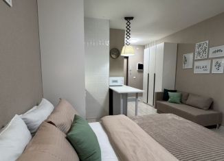 Квартира в аренду студия, 22 м2, Мурино, ЖК Материк, Воронцовский бульвар, 19к1