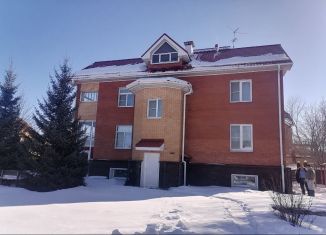 Продажа дома, 460 м2, посёлок Молодёжный, Сосновая улица, 22