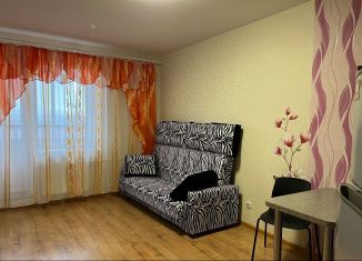 Сдается в аренду квартира студия, 24 м2, Колпино, улица Севастьянова, 28к2