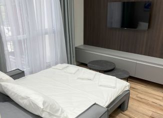 Однокомнатная квартира на продажу, 57 м2, Сочи, улица Ленина, 298В/3, ЖК Касабланка