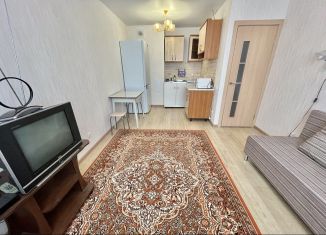 Аренда однокомнатной квартиры, 30.9 м2, сельский посёлок Новинки, 2-я Дорожная улица, 31