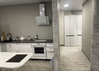 Сдается в аренду квартира студия, 45.9 м2, Челябинск, улица Энтузиастов, 30Б, ЖК Дом на Энтузиастов