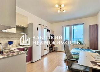 Продажа квартиры студии, 24.1 м2, Санкт-Петербург, Яхтенная улица, 34, метро Беговая