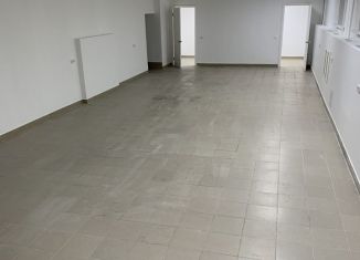 Сдается помещение свободного назначения, 164 м2, Ижевск, Пушкинская улица, 256, Центральный жилой район