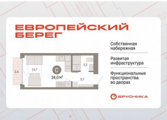 Продается квартира студия, 24 м2, Новосибирск, метро Октябрьская