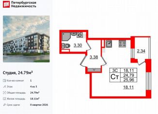 Квартира на продажу студия, 24.8 м2, Санкт-Петербург, метро Звёздная