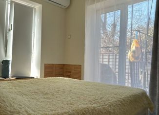 Сдается в аренду дом, 50 м2, село Мысхако, Приморская улица, 10