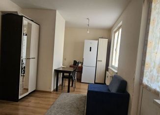 Квартира в аренду студия, 24.7 м2, Колпино, проспект Ленина, 66, ЖК Астрид
