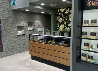 Аренда помещения свободного назначения, 30 м2, Москва, улица Арбат, 1, район Арбат