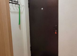 Сдам квартиру студию, 23.5 м2, Екатеринбург, улица Крестинского, 35, ЖК Октава