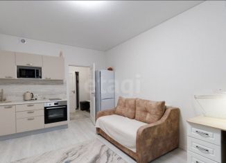 Сдача в аренду квартиры студии, 24.4 м2, Санкт-Петербург, проспект Ветеранов, 202, Красносельский район