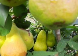 Продам дачу, 30 м2, Рубцовск, Крыжовниковая улица, 25