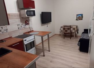 Сдаю 1-комнатную квартиру, 40 м2, городской посёлок Янино-1, Голландская улица, 10к1, ЖК Новое Янино