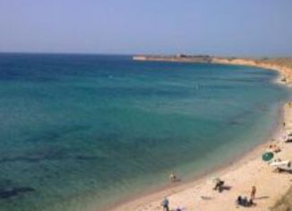 Продам участок, 100 сот., село Окунёвка, улица Крупской