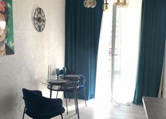 Аренда квартиры студии, 24.2 м2, Псков, Инженерная улица, 125, ЖК Смарт-квартал