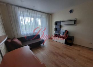 Сдам в аренду квартиру студию, 24 м2, Северодвинск, проспект Победы, 8