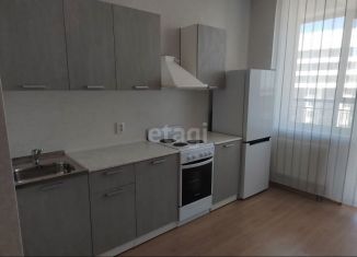 Сдается 1-ком. квартира, 40 м2, Екатеринбург, улица Блюхера, 93, Кировский район