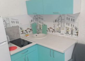 Сдам в аренду квартиру студию, 26 м2, село Орёл-Изумруд, улица Лазурная Долина, 85Б