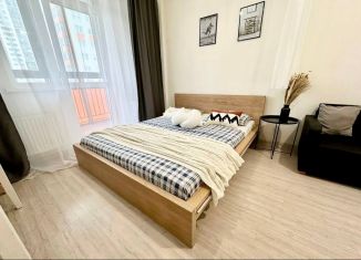 Сдаю квартиру студию, 31.2 м2, Екатеринбург, улица Чайковского, 66А