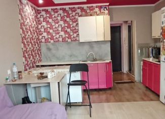 Продам квартиру студию, 30 м2, село Михайловка, Сливовая улица, 5