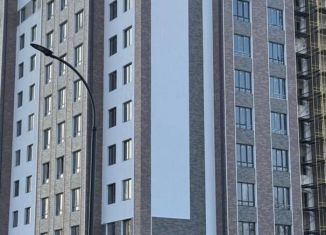 Продажа 1-комнатной квартиры, 57 м2, Нальчик, район Аэропорт, Кабардинская улица, 189