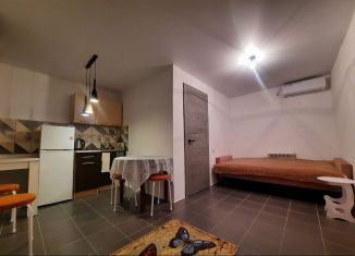 Сдача в аренду комнаты, 35 м2, Сочи, улица Чкалова, 55/3