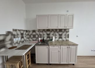 Аренда квартиры студии, 25 м2, Екатеринбург, улица Краснофлотцев, 71
