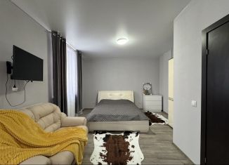 Сдаю в аренду квартиру студию, 34 м2, Екатеринбург, улица Прониной, 27