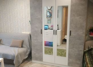 Сдача в аренду 1-комнатной квартиры, 30 м2, Тихвин, 1-й микрорайон, 20