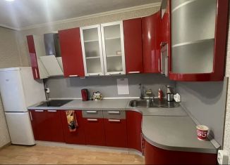Сдается в аренду двухкомнатная квартира, 65 м2, посёлок Шушары, Колпинское шоссе, 38к1