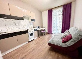 Сдаю 1-ком. квартиру, 45 м2, Екатеринбург, улица Циолковского, 27, ЖК Премьер