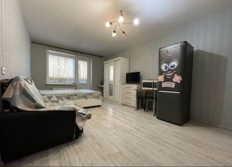 Квартира в аренду студия, 30 м2, городской посёлок Янино-1, Голландская улица, 8, ЖК Новое Янино