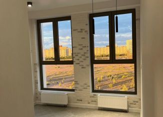 Продажа однокомнатной квартиры, 28.9 м2, Санкт-Петербург, улица Челюскина, 2, муниципальный округ Морской