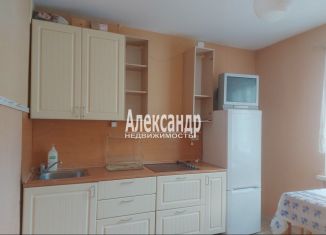 Продаю 1-комнатную квартиру, 34.6 м2, Санкт-Петербург, Долгоозёрная улица, 31, метро Комендантский проспект