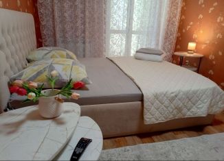 Аренда 1-ком. квартиры, 35 м2, Новоалтайск, Октябрьская улица, 25А